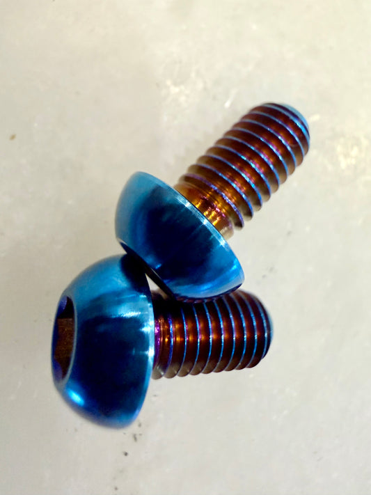 Titanium Ignition Cover Bolts - E-Ride Pro